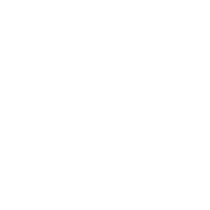 Experienced Professionals